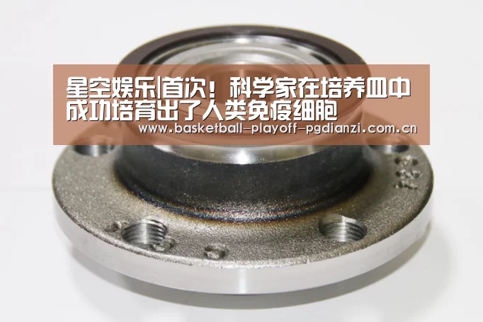 星空娱乐|首次!科学家在培养皿中成功培育出了人类免疫细胞(图2) 星空娱乐