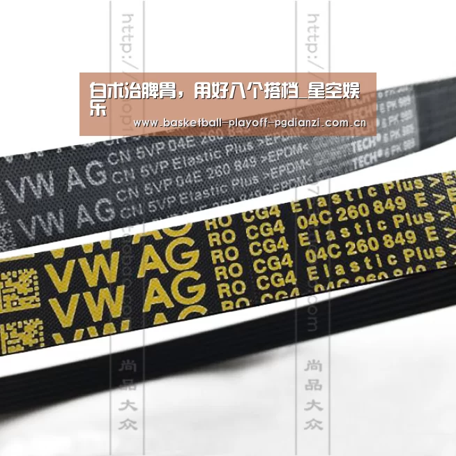 白术治脾胃,用好八个搭档_星空娱乐(图2) 星空体育