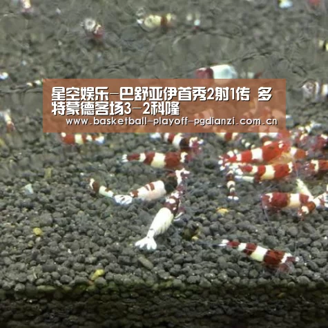 星空娱乐-巴舒亚伊首秀2射1传 多特蒙德客场3-2科隆(图1) 星空体育网站