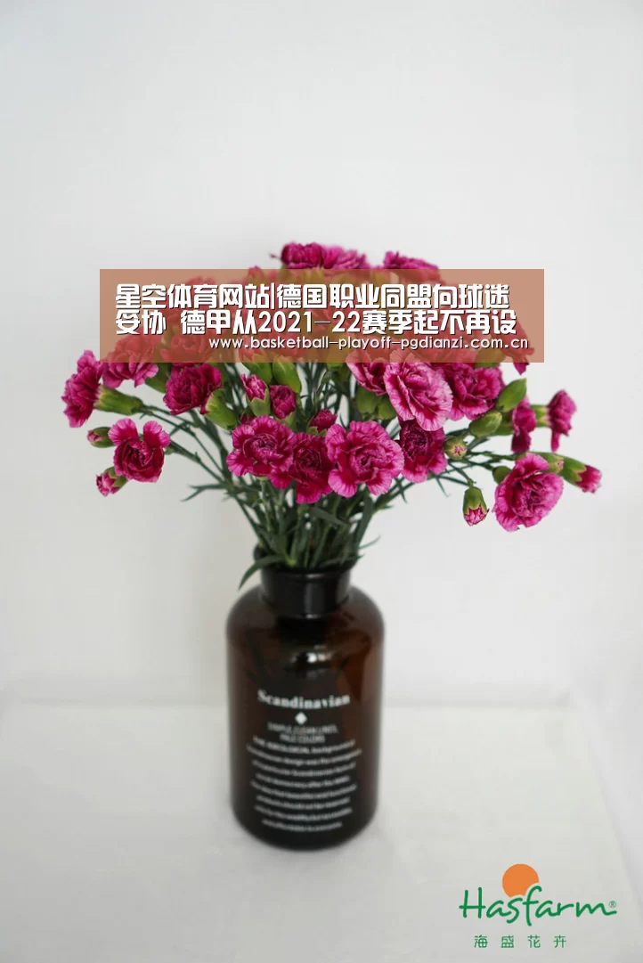 星空娱乐