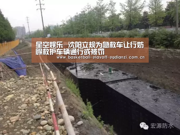 星空娱乐-沈阳立规为急救车让行妨碍救护车辆通行或被罚(图3) 星空体育网站